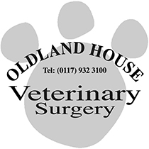 Oldland House Veterinary Surgery Bristol